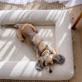 Good Dog Orthopedic Sofa Bed