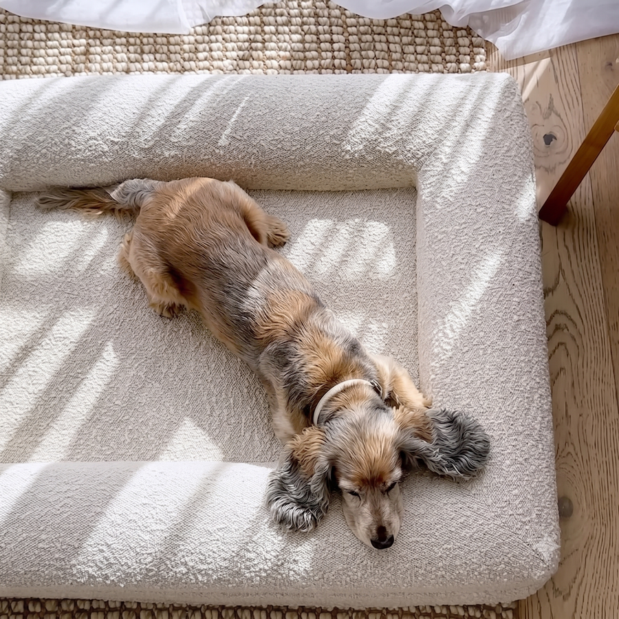 Good Dog Orthopedic Sofa Bed